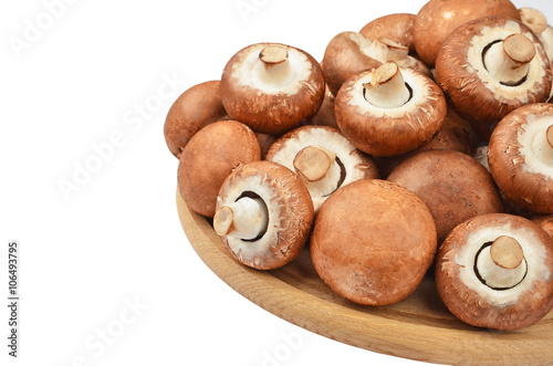 Champignon (True mushroom) on wooden board