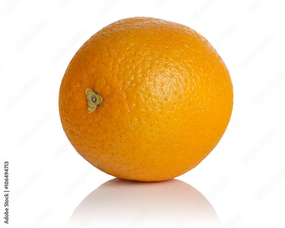 the fruit orange the fruit orange