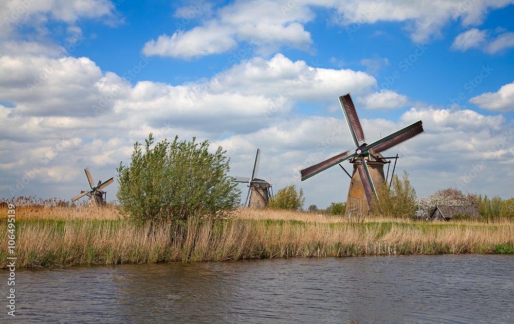 Naklejka premium Windmills