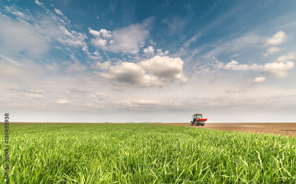 Fototapeta premium tractor fertilizing in field