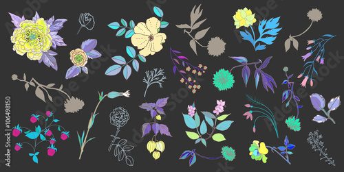 Hand Drawn vintage floral elements. Set of flowers.