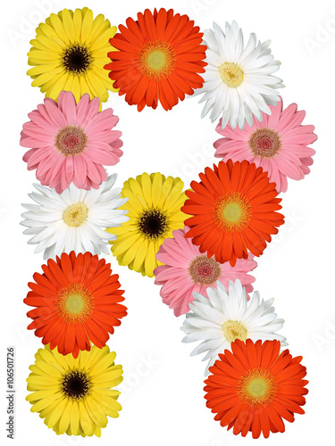 Buchstabe R Alphabet aus Blumen Freisteller auf weiss