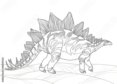 Vector illustration of Stegosaurus armatus or covered lizard isolated on white background. Series of prehistoric dinosaurs. Fossil animals and reptiles in contour style.
