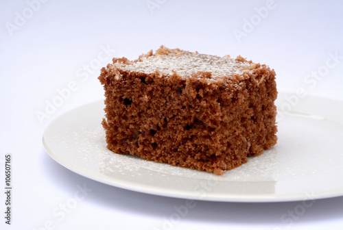 Cocoa dessert with coconut sprinkled with powdered sugar