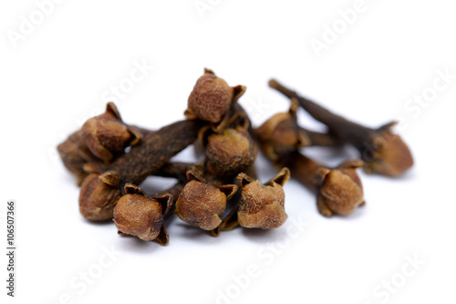 Fragrant spices cloves isolated on white background.