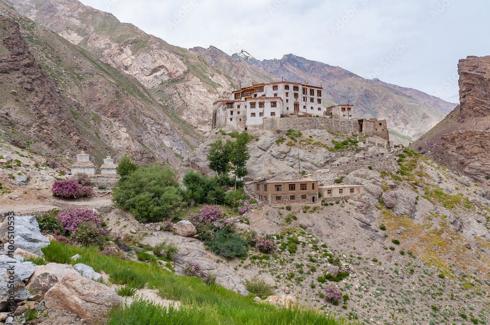 Solitary buddhist monastery, white painted building with red roof, located in rocky desert, surrounded by high mountain peaks, with few lush green rose shrubs blooming in spring, Zanskar region, India