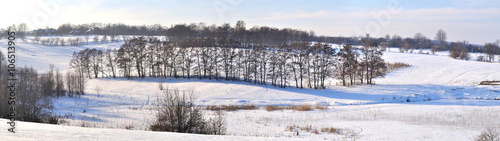 Wallpaper Mural tree on the snow field Torontodigital.ca