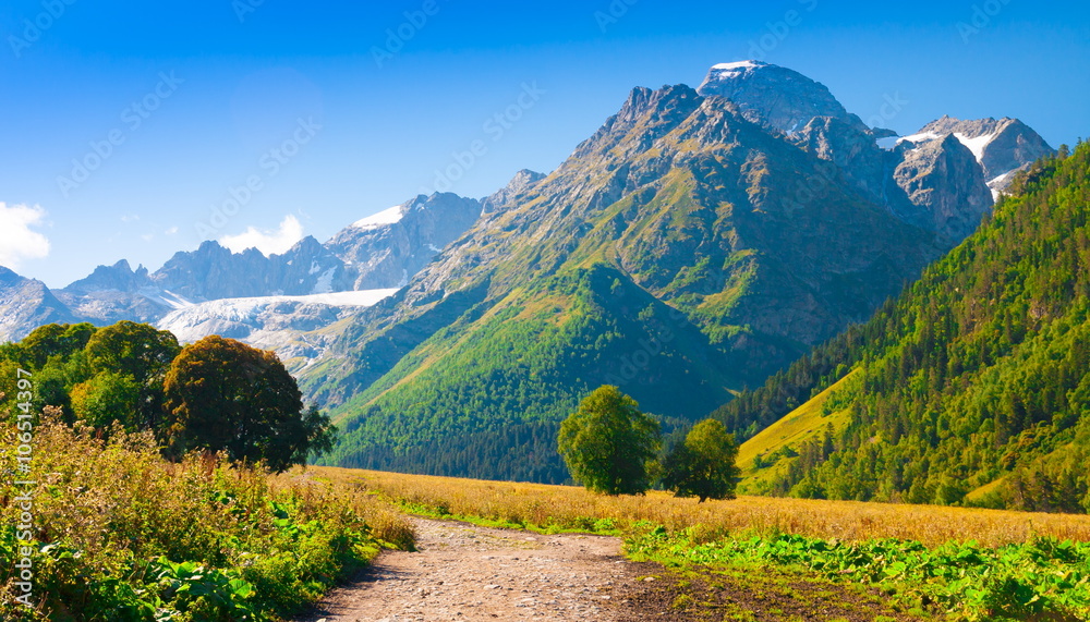Fototapeta premium Mountain day summer
