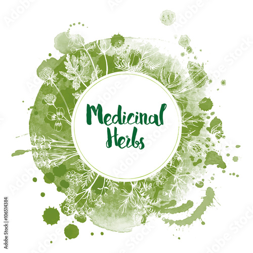 Watercolor vector background of medicinal herbs