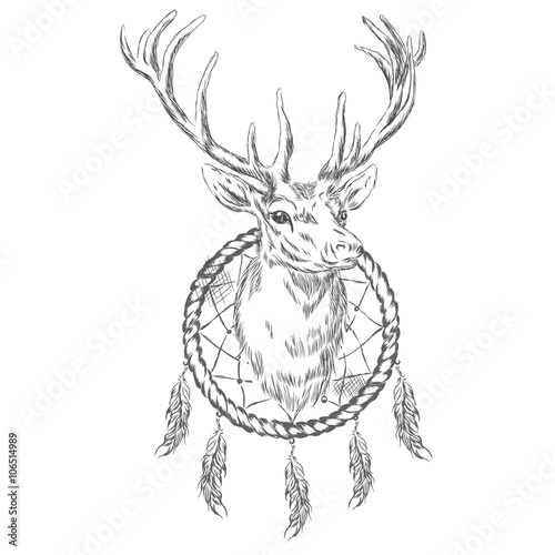 Deer and Dreamcatcher. Vector illustration.