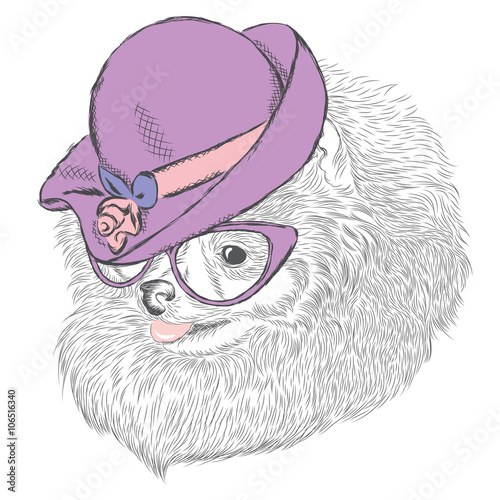 Cute Dog in a ladies' hat and sunglasses .

