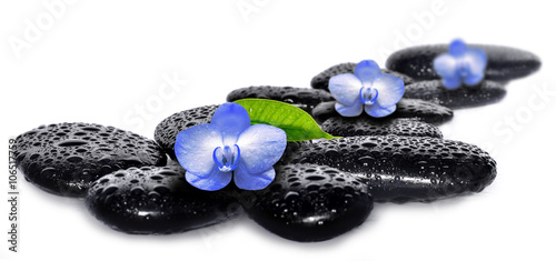 Canvas Print Flower orchid and black wet stones. Spa concept.