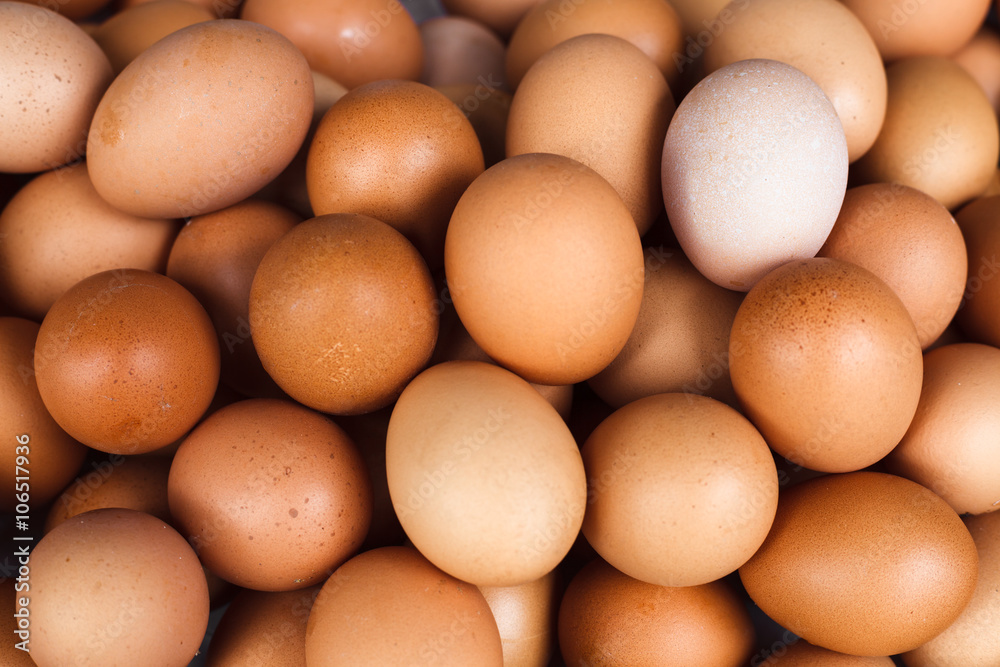 Background of fresh domestic eggs. Organic food. Background of fresh domestic eggs. Organic food.