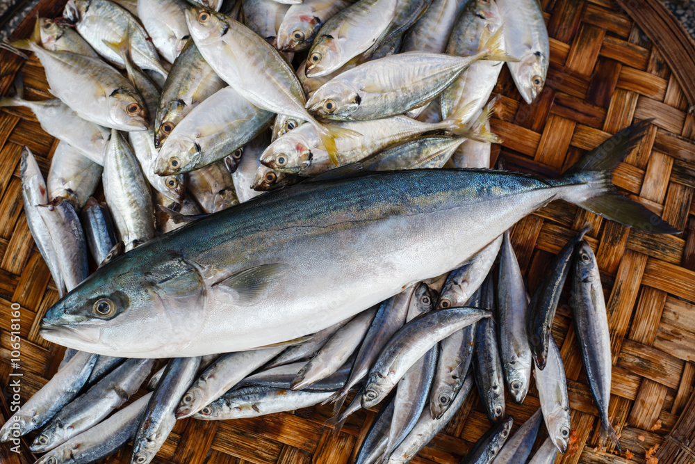 Obraz premium Fresh tuna fish in market. Seafood background.