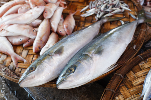 Foto Fresh tuna fish in market. Seafood background.