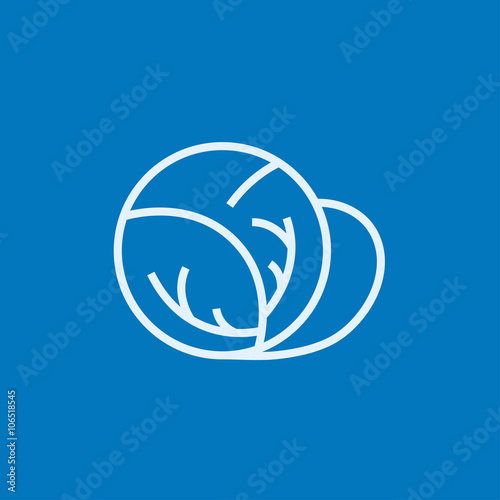 Cabbage line icon 