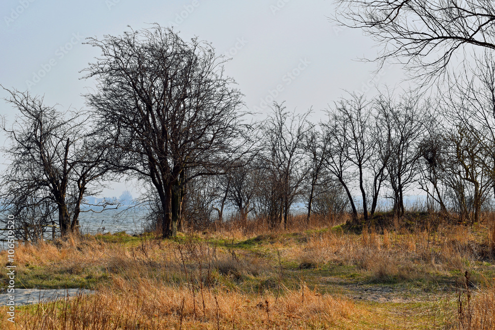 Fototapeta premium Rezerwat Beka II