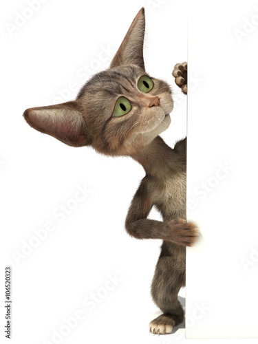 Fototapeta Naklejka Na Ścianę i Meble -  Fluffy kitten peeking out of a blank sign. 3d image. Isolated white background.