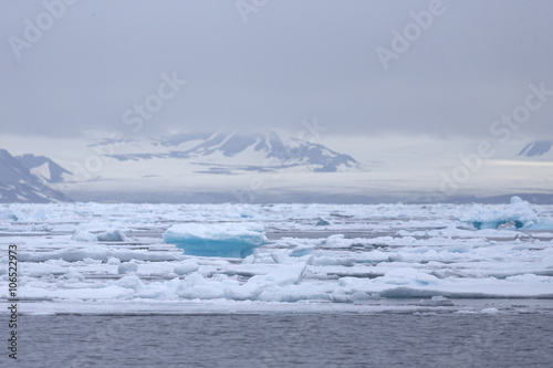 Drifting ice at Barents Sea  north of Svalbard area  Arctic.