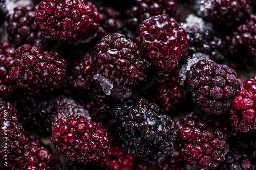 Frozen summer forest wild blackberries, full frame background Frozen summer forest wild blackberries, full frame background