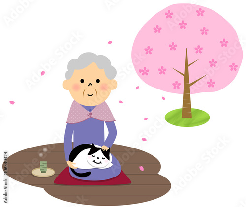 シニア おばあちゃんと猫 縁側