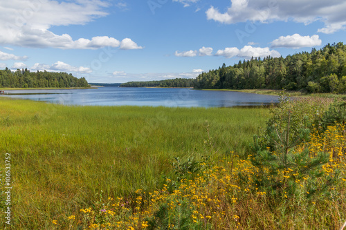 Summer landscape in the skerries of Lake Ladoga. Koyonsaari Island, Turvey Bay