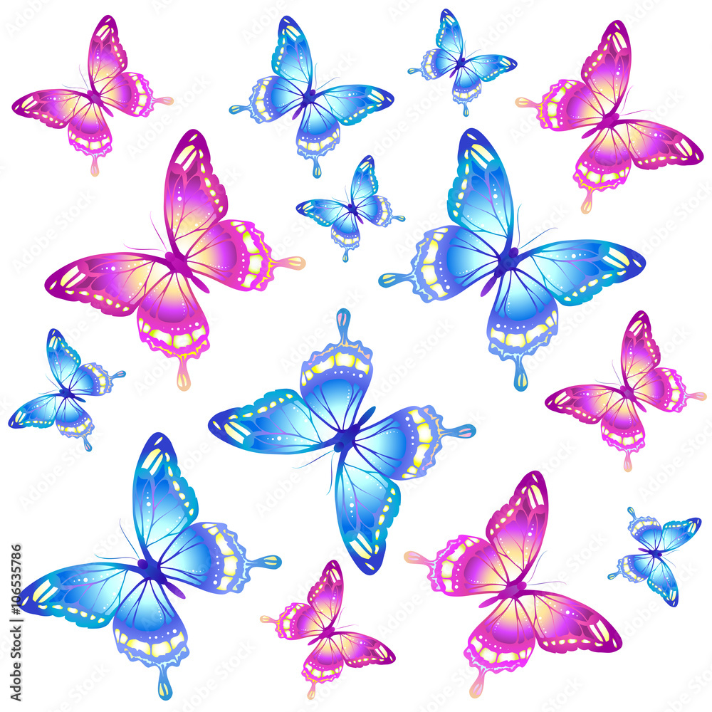 butterflies design butterflies design