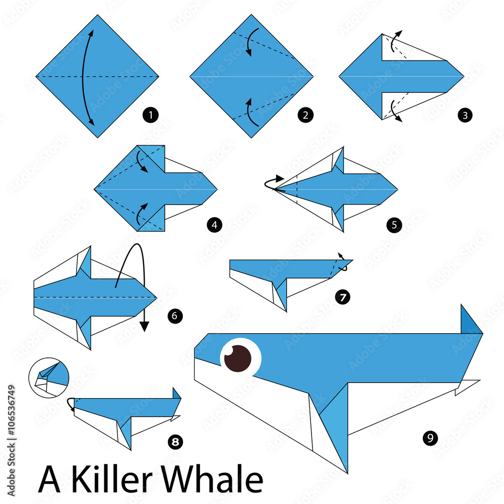 Step by step instructions how to make origami A Killer Whale. Stock