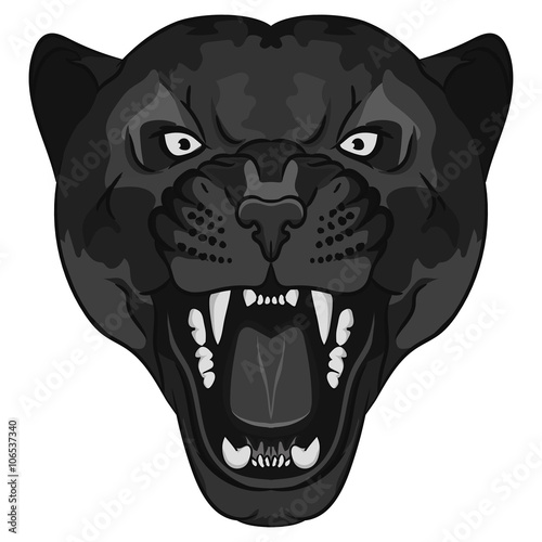 Panther Portrait. Angry wild big cat
