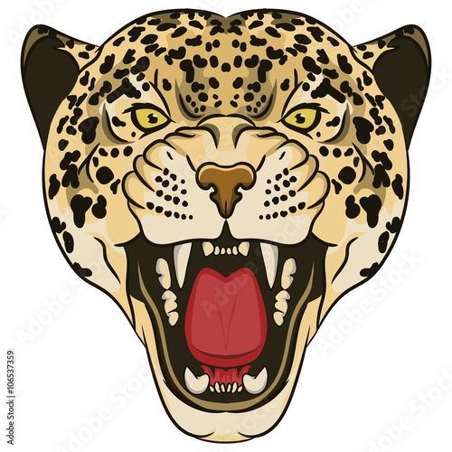 Leopard Portrait. Angry wild big cat