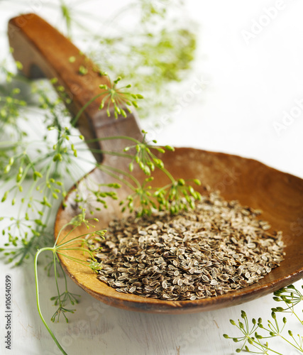 Fennel seeds in big wooden spoon and fresh flowers of dill