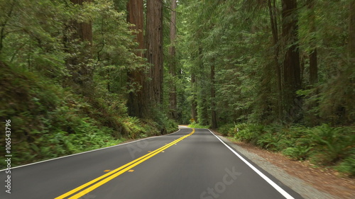 Driving  on Avenue of the Giants through a portion of Humboldt Redwoods State Park, California photo