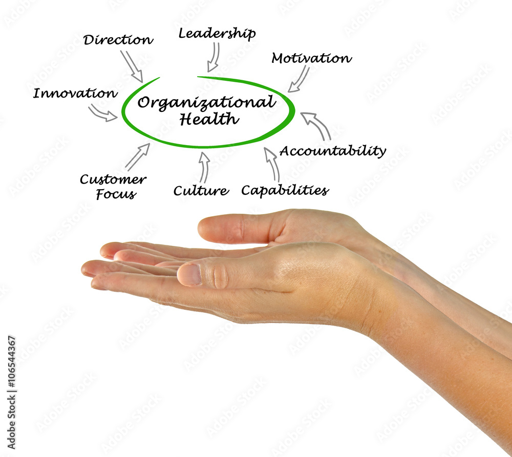 Diagram of Organizational Health Diagram of Organizational Health