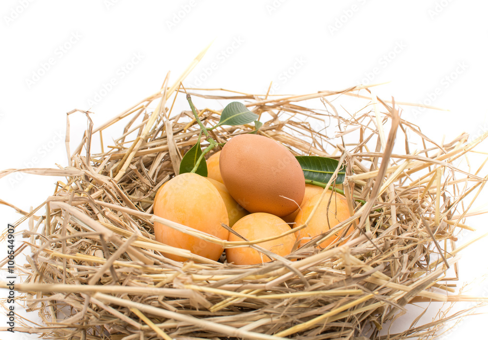 plum mango or Maprang plum mango or Maprang