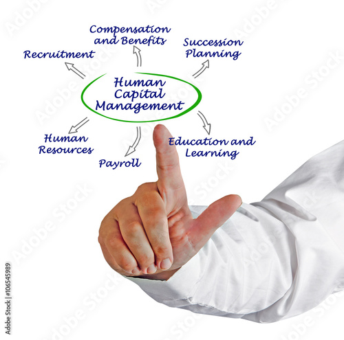 Diagram of Human Capital Management