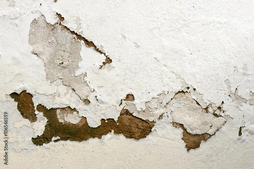 Bubbling and Peeling Paint as a Result of Rising Damp photo