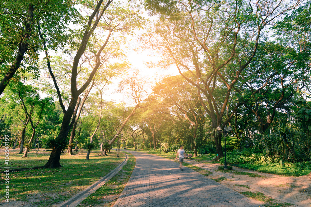 Obraz premium Pathway middle of sylvan garden in urban city.