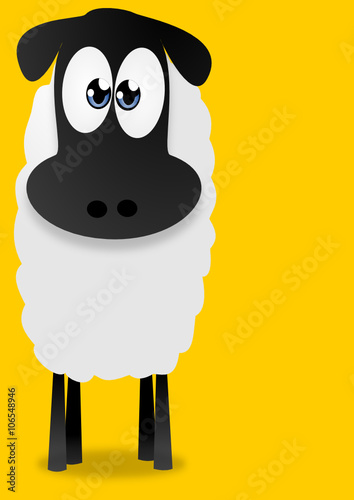 Schaf