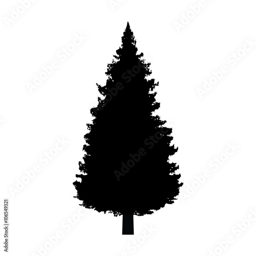 Evergreen conifer / pine tree flat icon for apps and websites photo