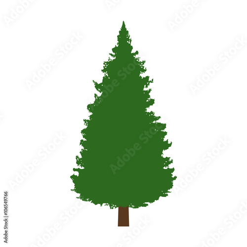 Evergreen conifer / pine tree flat color icon for apps and websites photo