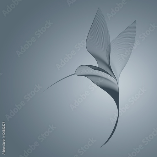 Hummingbird dark lines