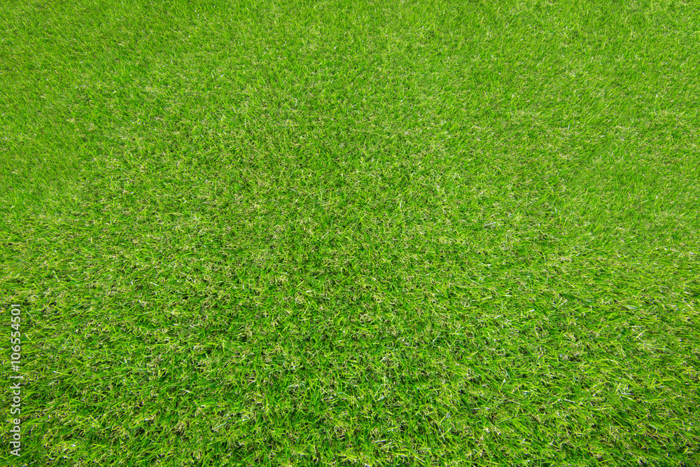 Naklejka Seamless texture of Green grass.