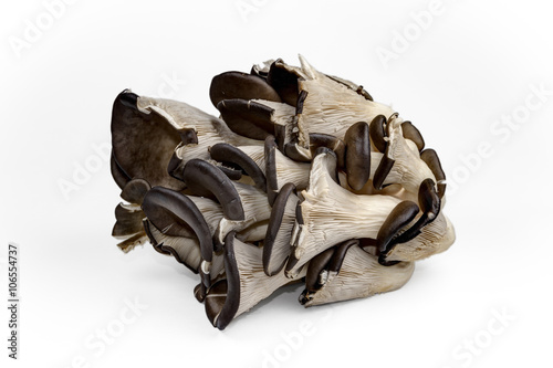 Raw fresh mushrooms