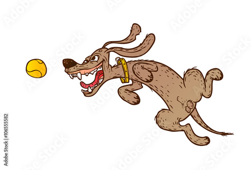 Jumping cheerful dog