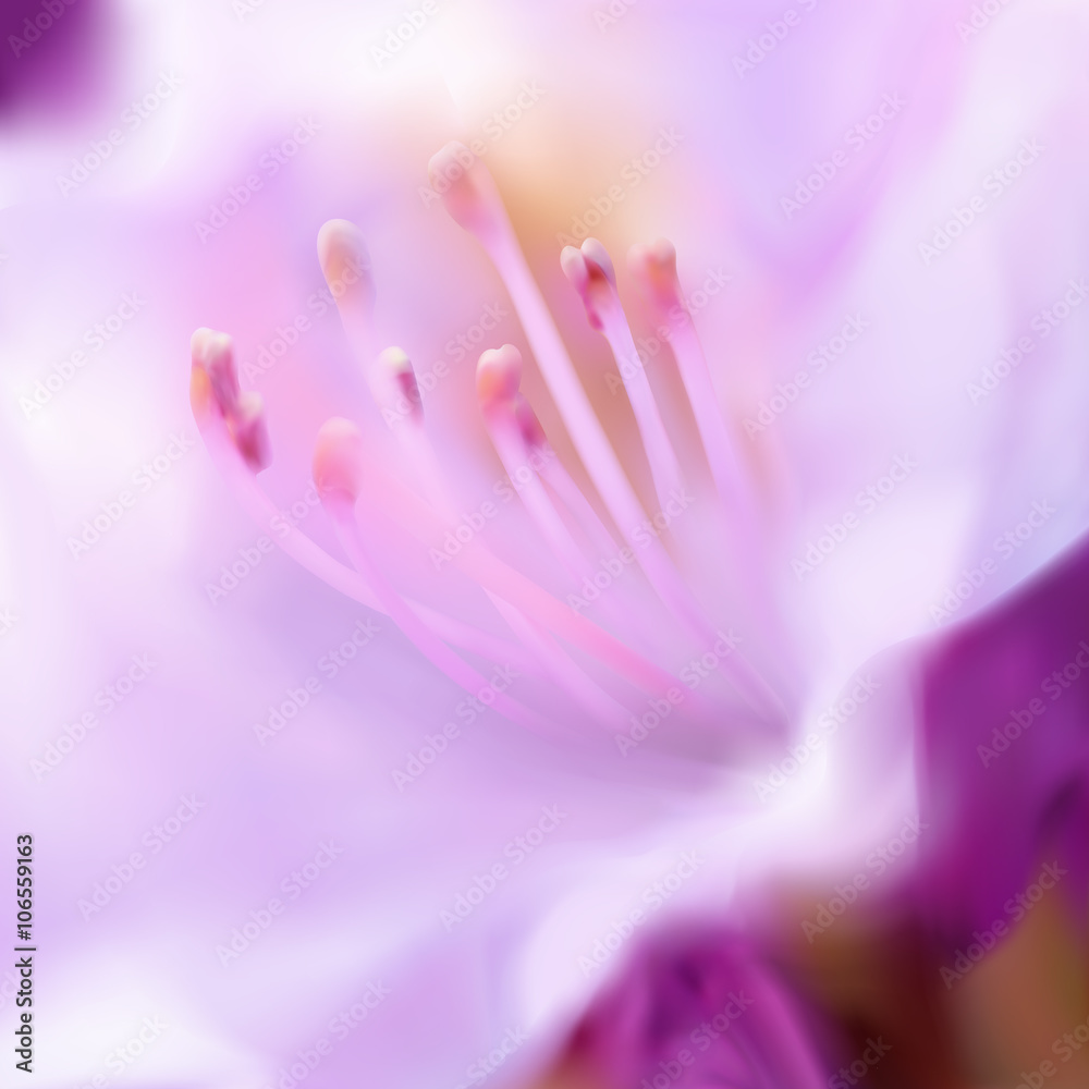 purple lily with stamens. macro. vector illustration