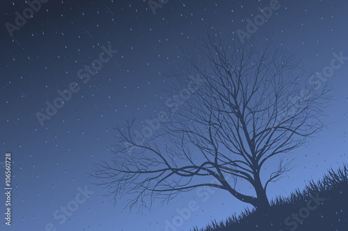 The tree in the rain