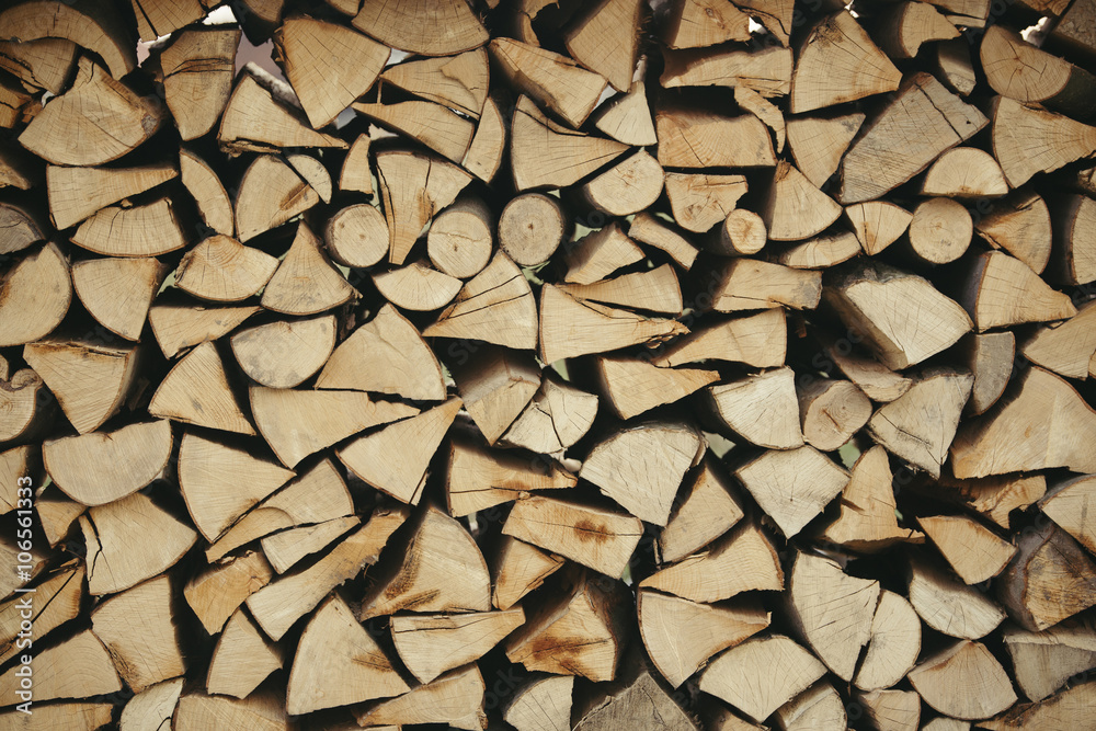 Cut and arrange wood for winter