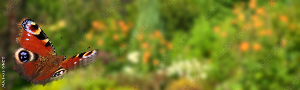 Obraz premium Garten 556