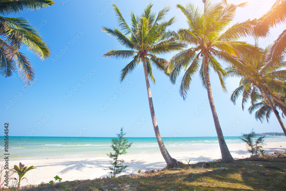 Obraz premium tropical beach with coconut palm and sea