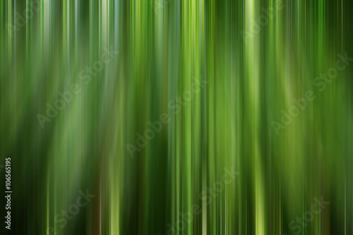 Bamboo grove  abstract